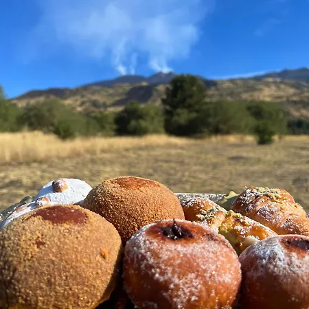 Etna Vibes Catania